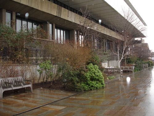 The riverside walk